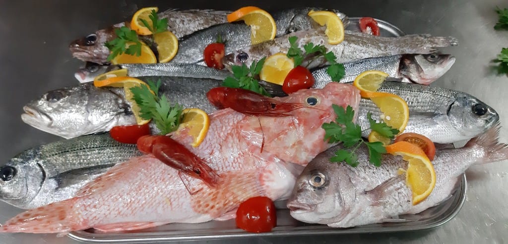 Daily Fresh Fish